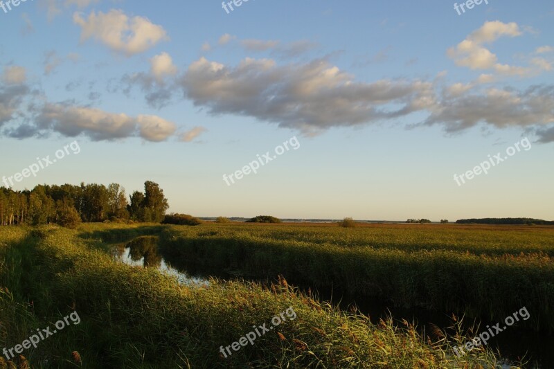 Landscape Takern Sweden Nature Reserve Nature