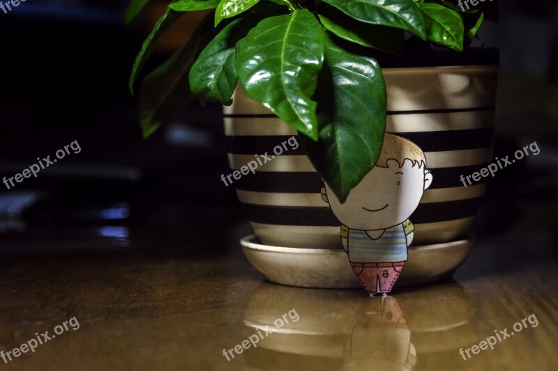 Jasmine Potted Plants Device Plant Desktop