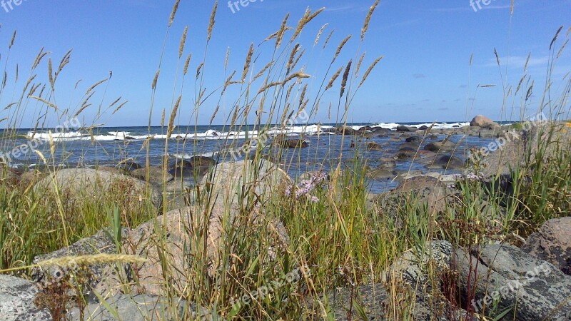 Sea Nature Gotland Lyme Beach