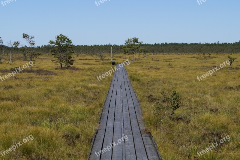 Moor Moorland Landscape Sweden Nature