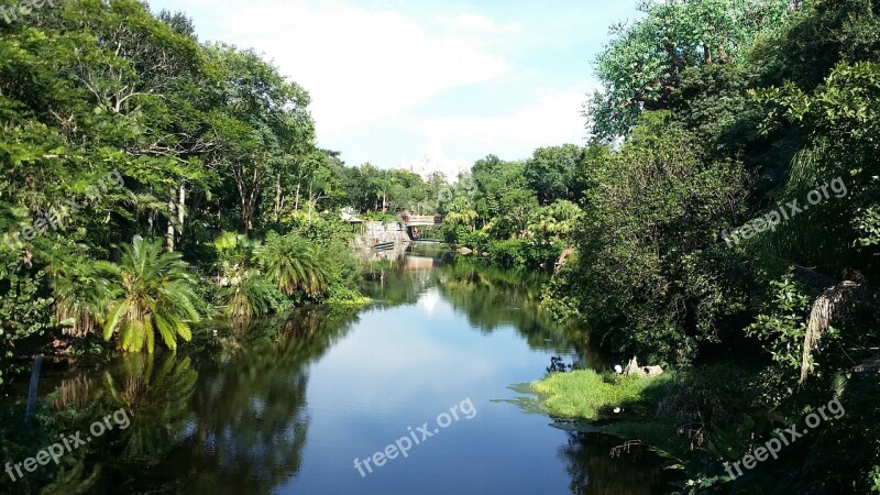 Jungle River Landscape Free Photos