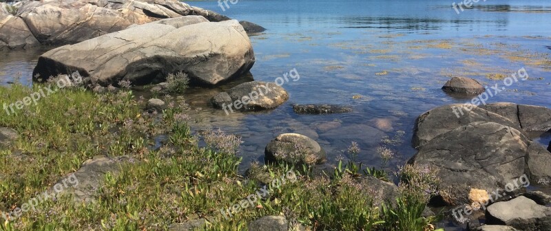 Rocks Beach Maine Ocean Nature