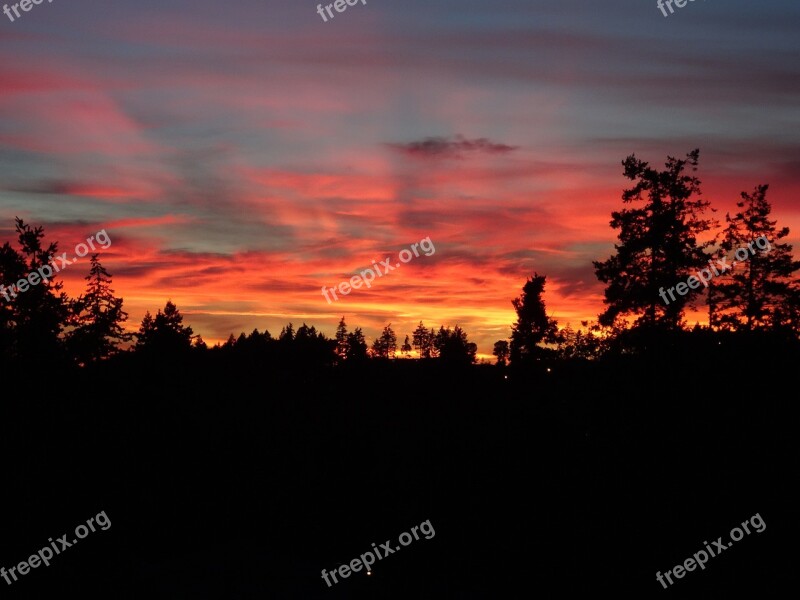 Red Sky Silhouette Trees Sky Sunset Evening