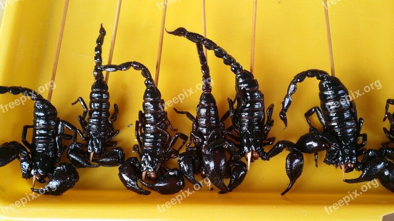 Food China Scorpion Chinese Snack