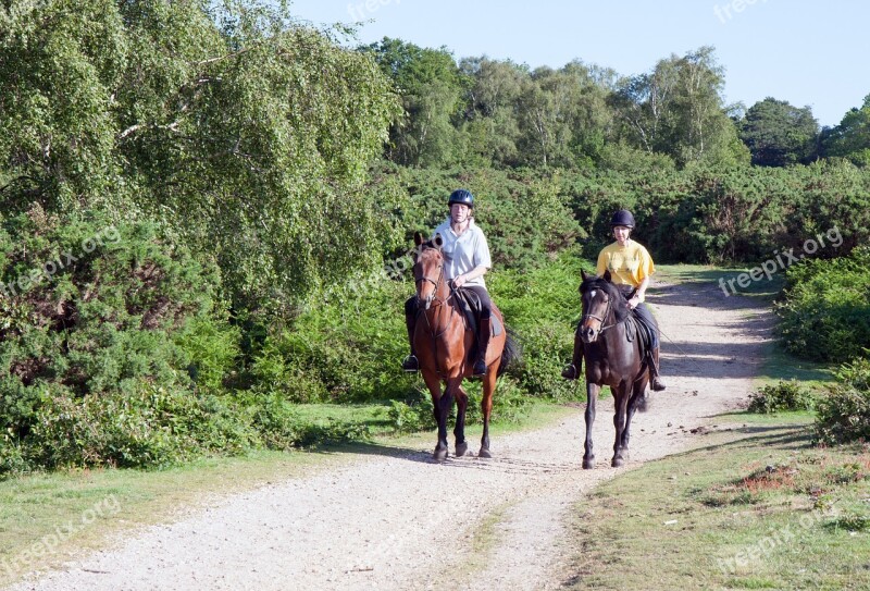 Horse Riders Horses Pony Ponies Riding