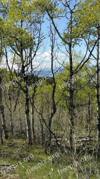 Alberta Foothills Mountains Landscape Canada Foothills