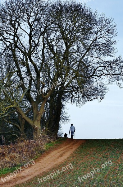 Man Dog Landscape Owner Animal