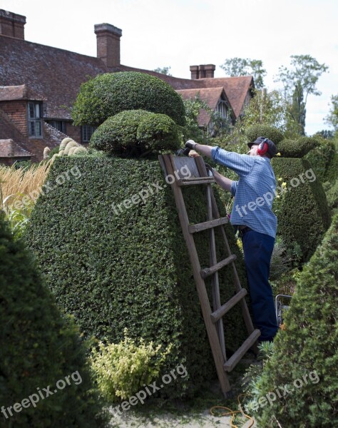 Topiary Electric Hedge Trimmer Gardener Yew Great Dixter