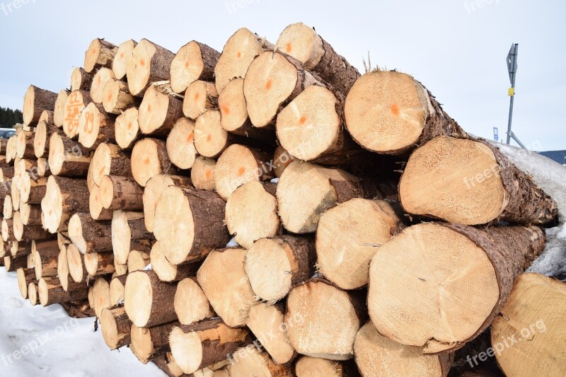 Log Wood Forestry Timber Firewood