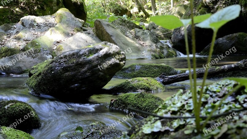 Bach Austria Styria Teigitsch Landscape