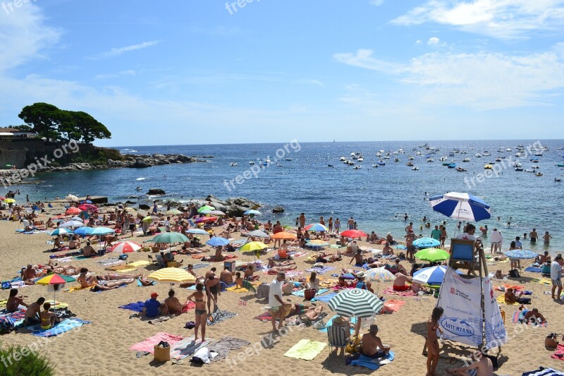 Beach Sea Tanned Sandy Beach Seaside