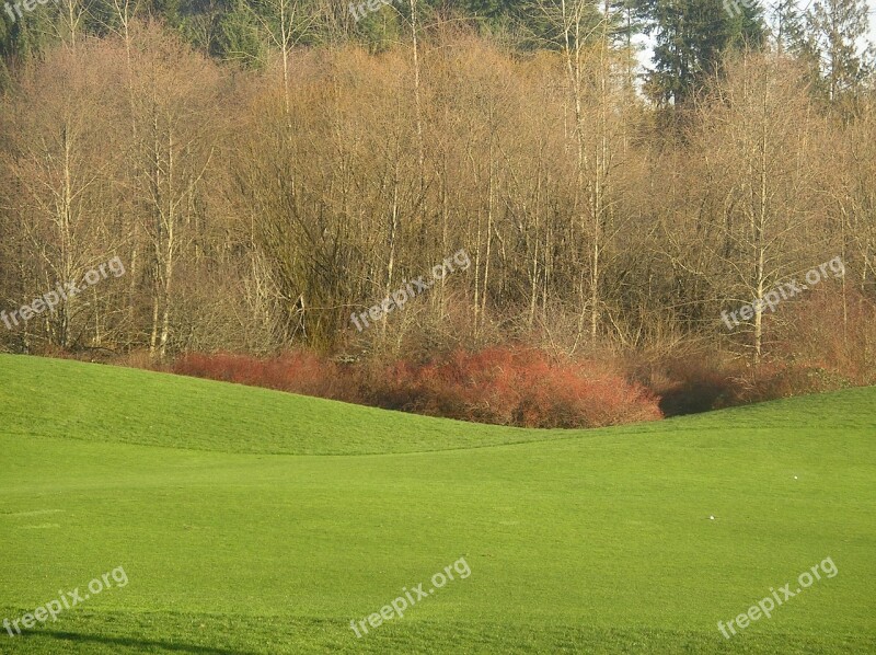 Golf Course Golf Fairway Golfing Green