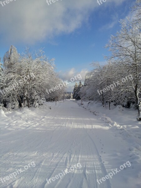 Blue Sky Snow Lane Sunny Winter Panorama Free Photos