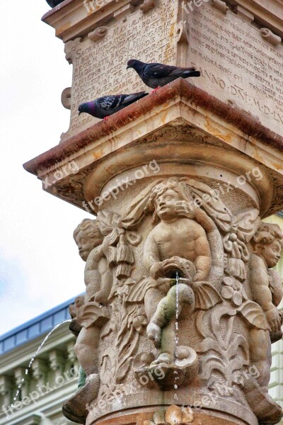 Bratislava Pigeons Water Pillar Bird