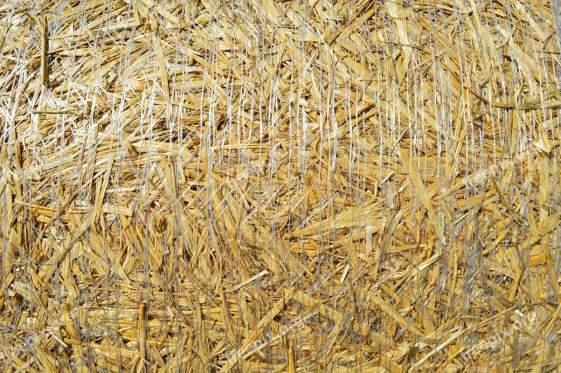 Wheat Agriculture Straw Bale A Pile