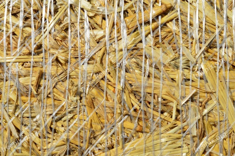 Wheat Agriculture Straw Bale A Pile