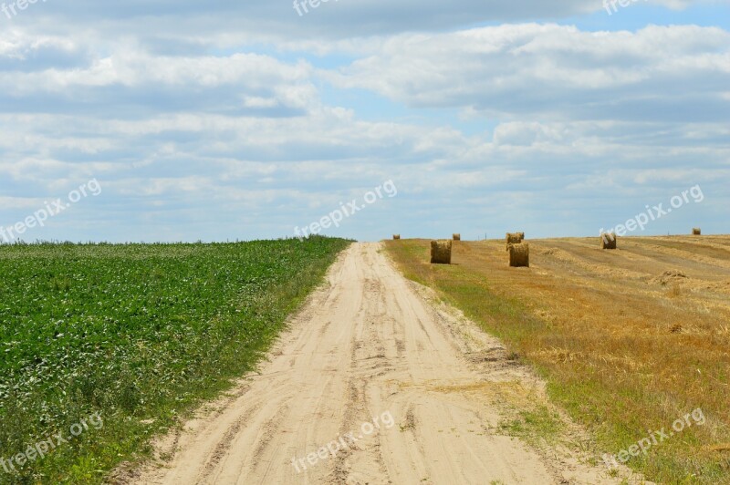 Wheat Field Agriculture Harvesting Straw