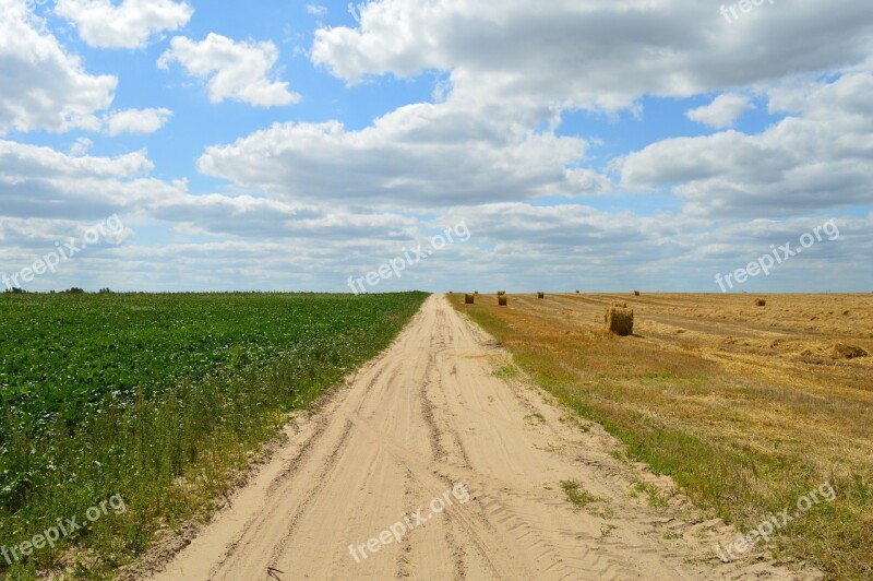 Wheat Field Agriculture Harvesting Straw