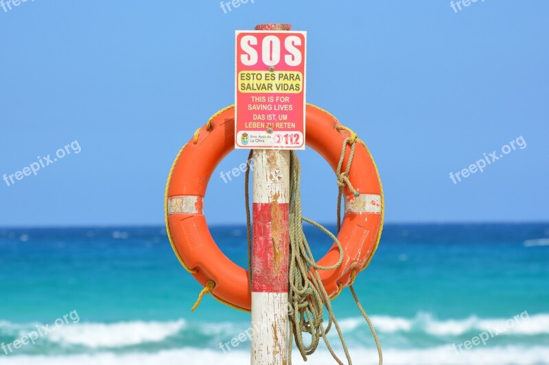 Life Buoy Sea Sos Ocean Help