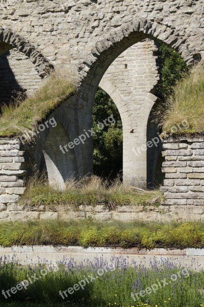 Omberg Sweden Monastery Ruins Alvastra Ruin