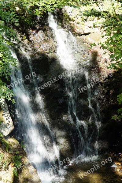 Waterfall Forest Sweden Deciduous Forest Water