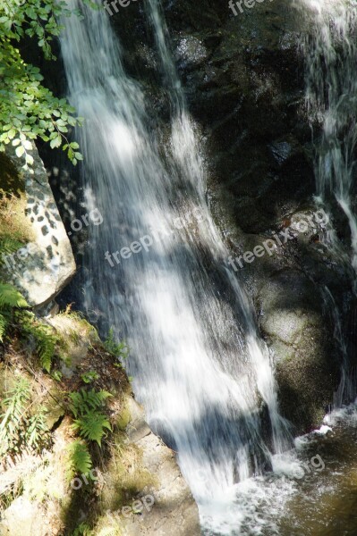 Waterfall Forest Sweden Deciduous Forest Water