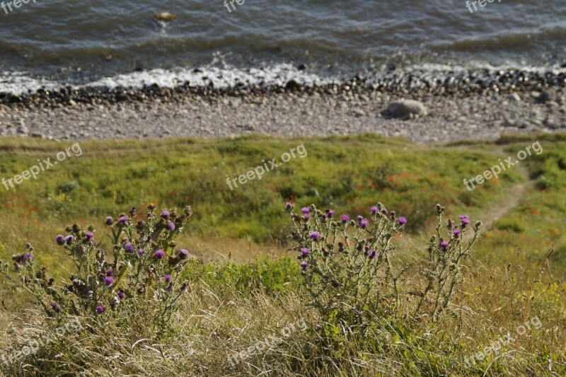 Cliff Steep Coast Sloping Sweden