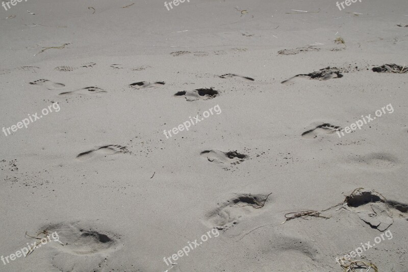 Traces Footprints Sand Beach Footprint