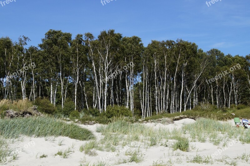 Dune Dune Landscape Grasses Sea Ocean