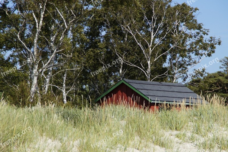 Dune Dune Landscape Grasses Sea Ocean