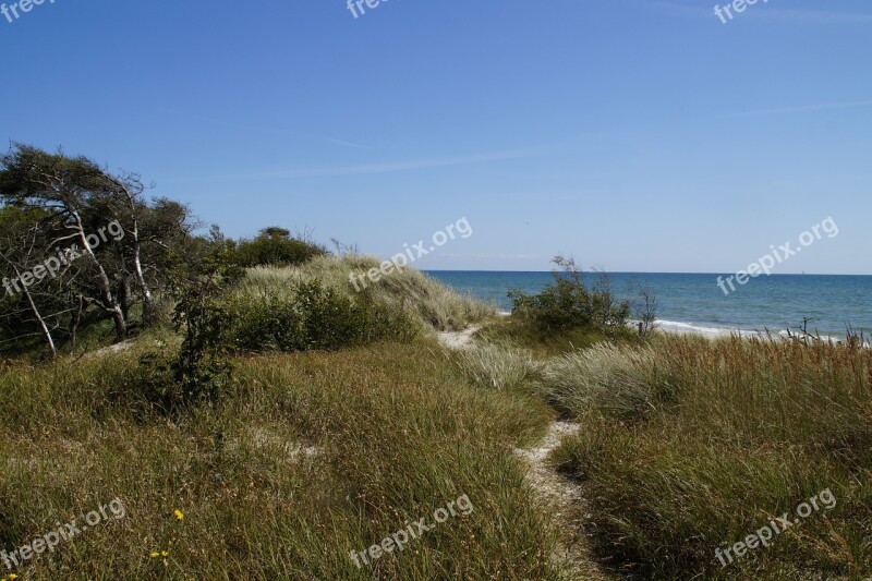 Dune Dune Landscape Grasses Sea Ocean