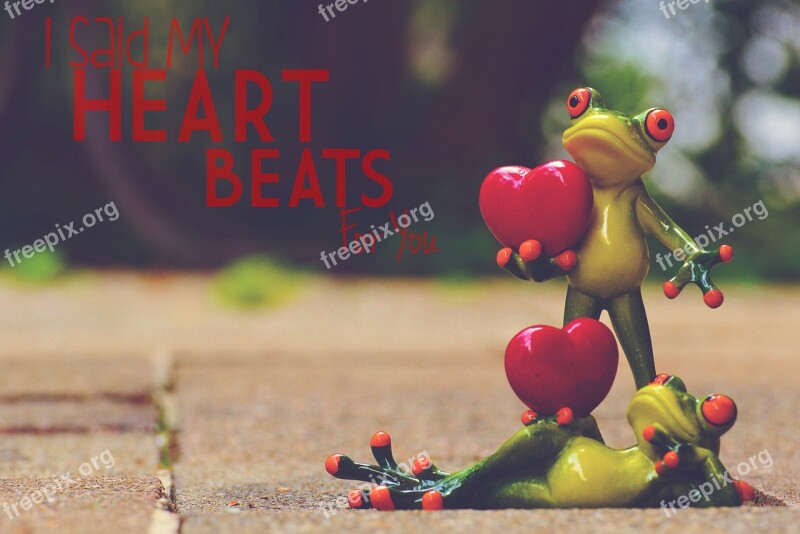 Frogs Pair Love Greeting Card Valentine's Day