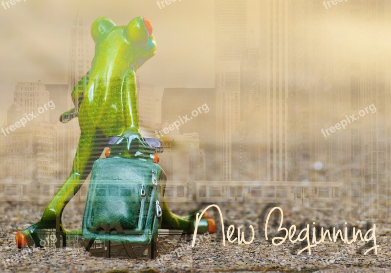 Frog New Beginning Move Time For Other Ways Farewell