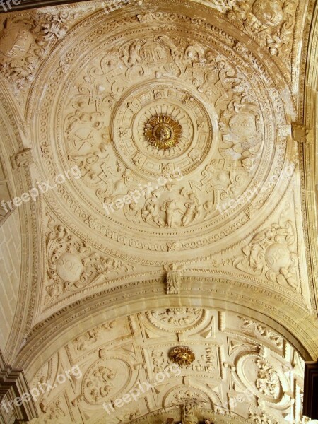 Baeza Catedral Andalusia Spain Ceiling