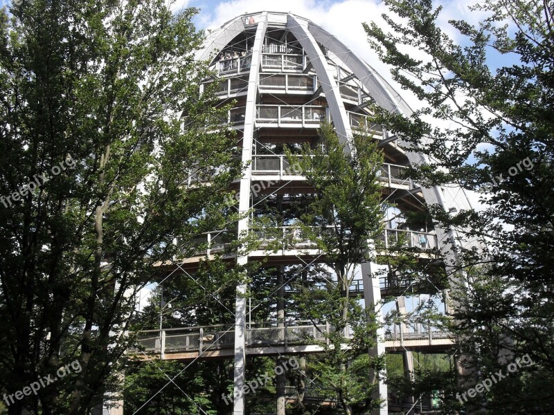 Tree Top Walk Neuschönau Bavarian Forest Path Tower