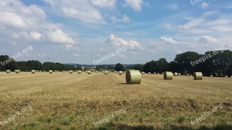 Field Idyll Land Harvest Straw