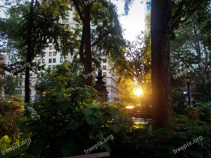 Nyc Park Sunset Manhattan Sky