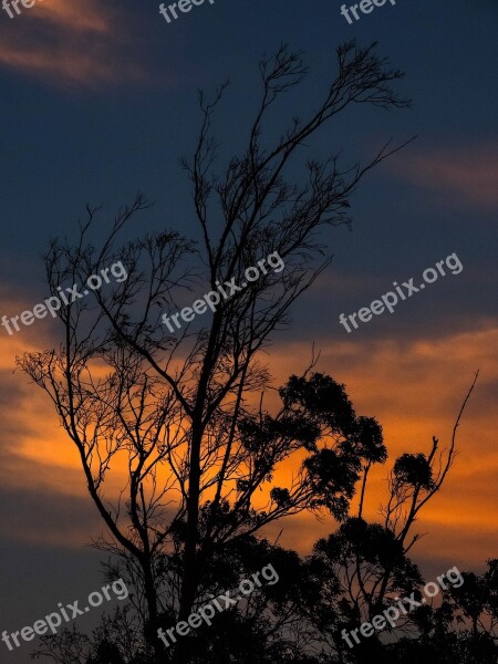 Africa Sunset Nature Landscape Sky