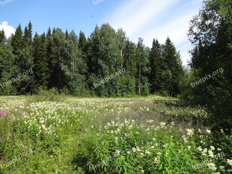 Landscape Prado Nature Field Prairie