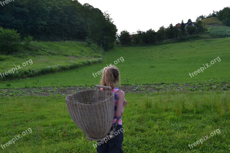 Woman With Basket Woman Thinking Basket Female Girl