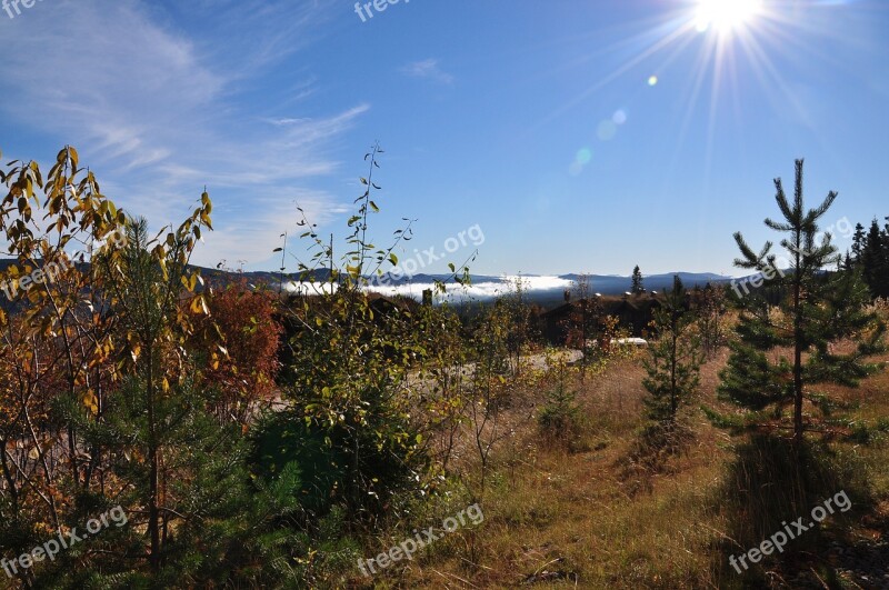 Trysil Norway Autumn Landscape The Nature Of The