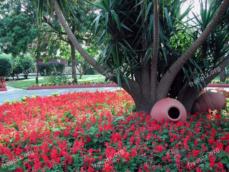 Turkey Traffic Circle Sage Red Flowers Free Photos