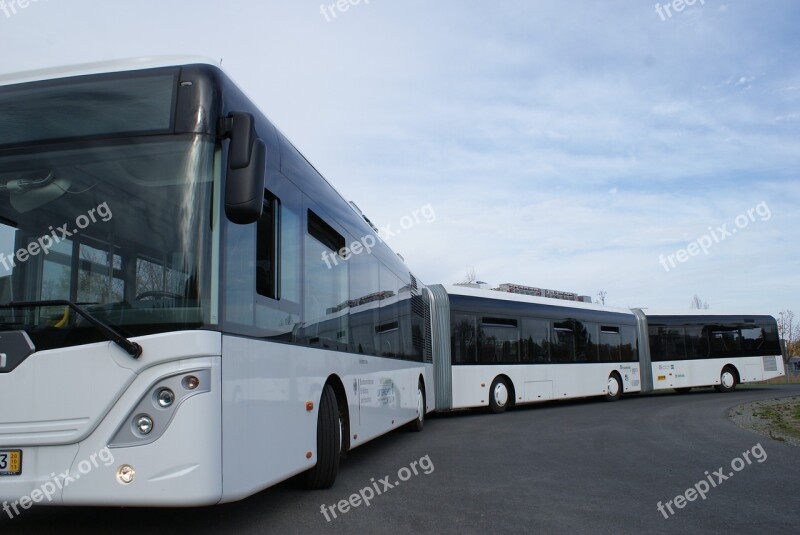 Autotram Bus Public Transport Long Large