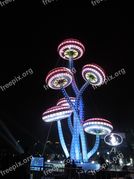 Canton Amusement Park Lighting Night View China