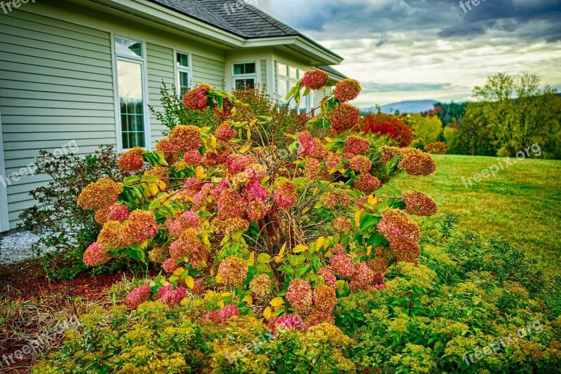 Fall Foliage Mountains Sky Clouds