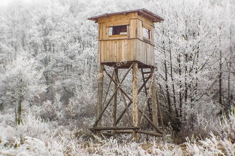 Gazebo Winter Hunting Forest Free Photos