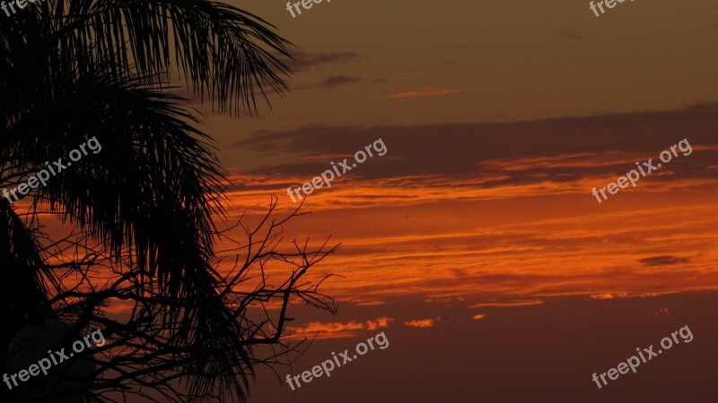 Sky Sunset Nature Beautiful Trees