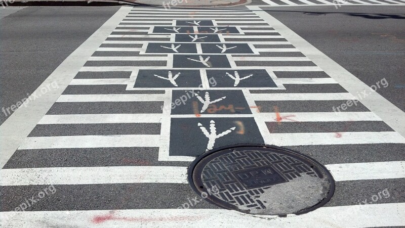 Bird Feet Crossing Walk Crosswalk Hopscotch