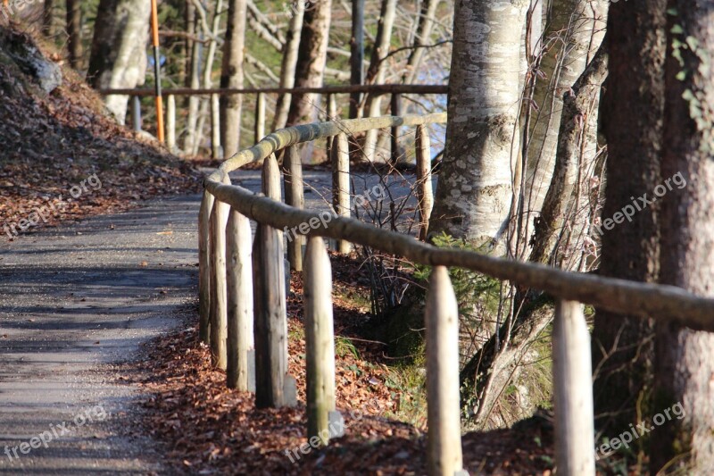 Away Forest Nature Upper Bavaria Landscape