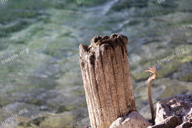 Butt Walchensee Water Upper Bavaria Nature